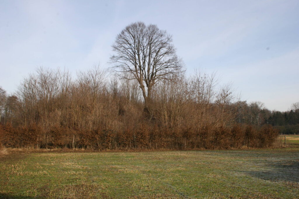 Tumulus Cockartstombe in open landschap.