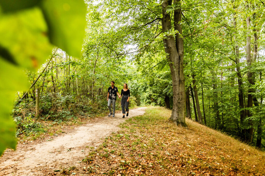 Jong kopel wandelt in het landschap Beukenberg.